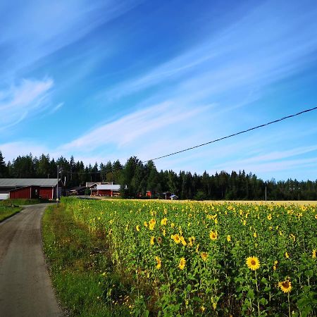 Maatilamatkailu Ilomaeki Seinajoki Exterior photo