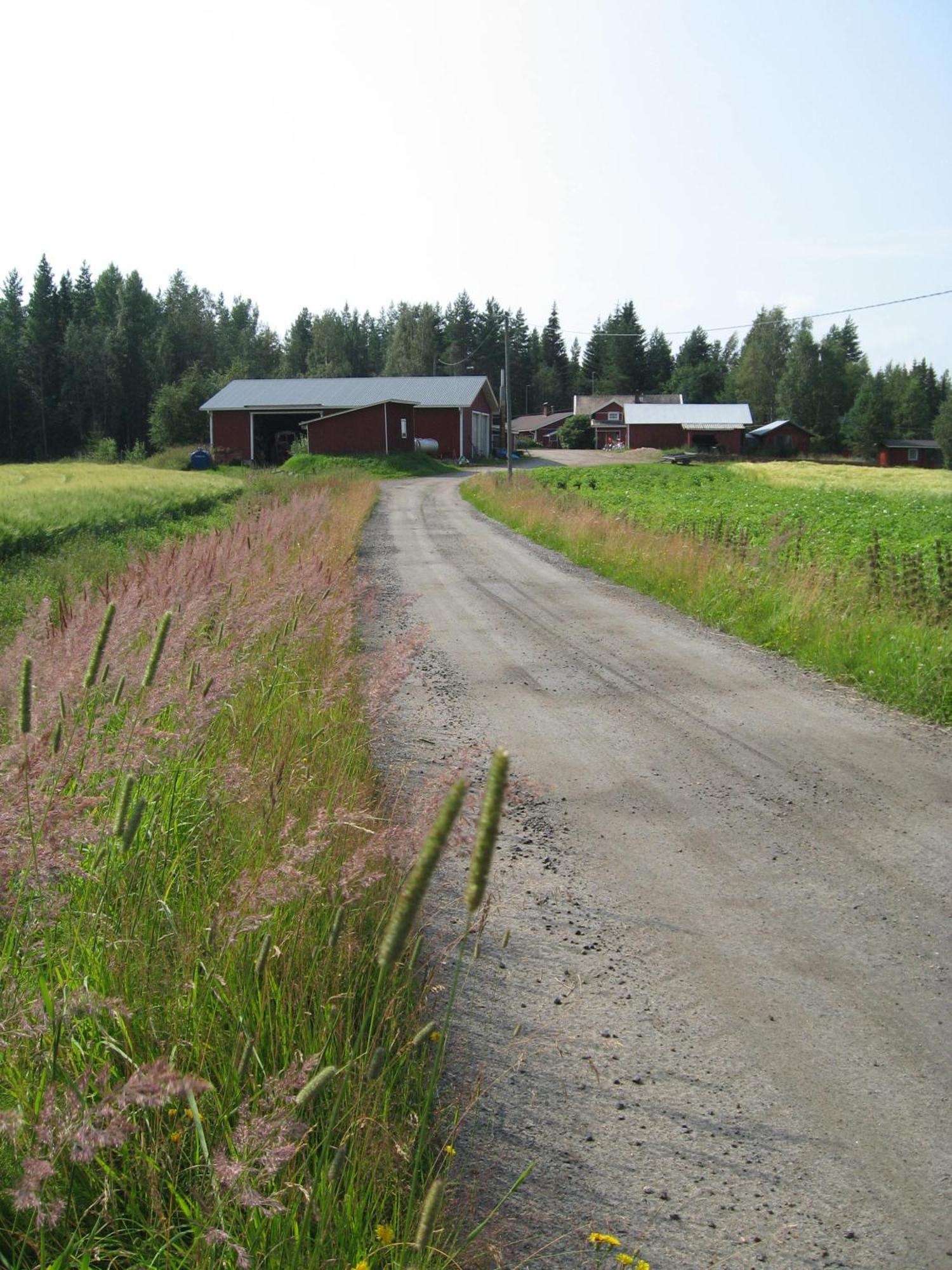 Maatilamatkailu Ilomaeki Seinajoki Exterior photo