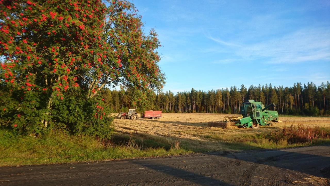 Maatilamatkailu Ilomaeki Seinajoki Exterior photo